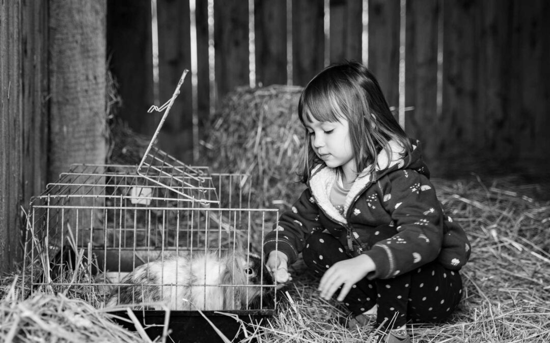 The Paedophilia Paradox: When Understanding Leads to Stigmatisation