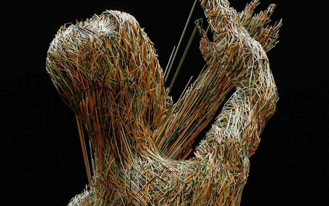 Navigating the Challenges of Digital Transformation